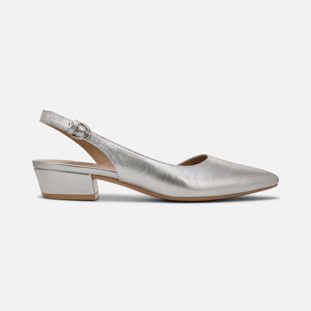 Banks Pointed Toe Flat - Silver