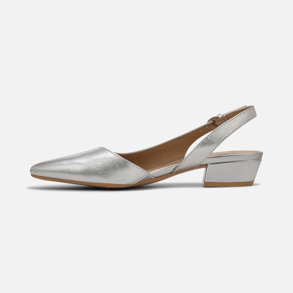 Banks Pointed Toe Flat - Silver